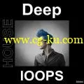 Big.Sounds.Deep.House.Loops.WAV-MAGNETRiXX的图片1