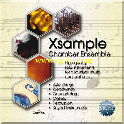 Best.Service.Xsample.Chamber.Ensemble.KONTAKT.SCD.DVDR-SONiTUS的图片3