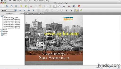 InDesign CS4 to EPUB, Kindle, and iPad的图片2