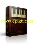 Soundiron Drinking Piano KONTAKT SCD DVDR-SONiTUS的图片1