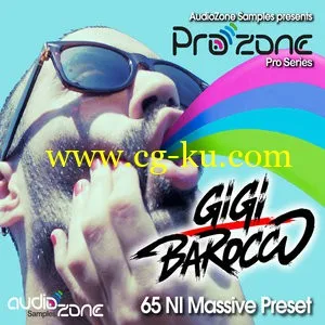 Audiozone Samples ProZone series with GIGI BAROCCO Presets For Ni Massive的图片1