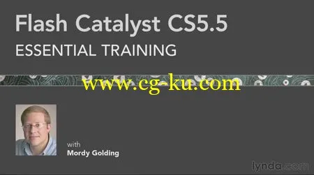 Flash Catalyst CS5.5 Essential Training的图片1