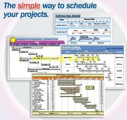 KIDASA Software Milestones Professional 2012 2014.02.13的图片1