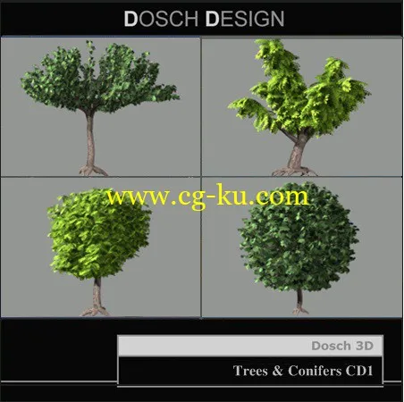 DOSCH 3D: Trees & Conifers CD1的图片1