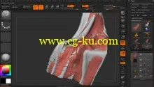 Dixxl Tuxxs – Cloth Workflows in ZBrush的图片3