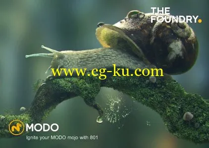 The Foundry MODO 801 x64的图片1