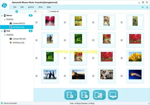 Aiseesoft iPhone Photo Transfer 7.0.26.22262的图片1