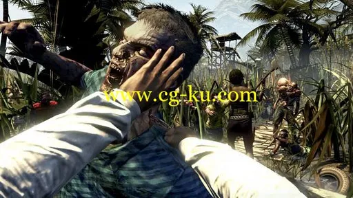 Dead Island MacOSX-P2P的图片3