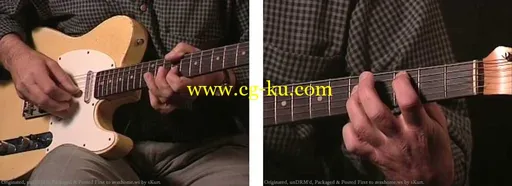 Grossman Guitar Workshop – Fred Sokolow – Electric Blues Guitar – DVD (2006)的图片3