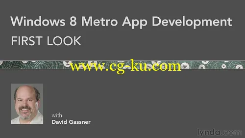 Windows 8 Metro App Development First Look的图片2