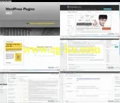 WordPress Plugins: SEO的图片1