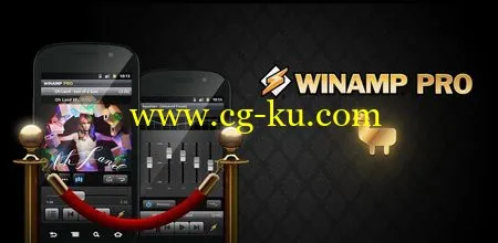 Winamp Pro v1.4.9 Android 音乐播放器安卓版的图片1