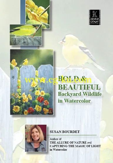 Susan Bourdet – Bold & Beautiful: Backyard Wildlife in Watercolor的图片1