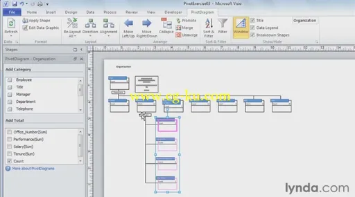 Visio 2010 Essential Training的图片2