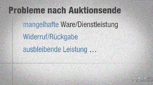 Die juristisch korrekte Online-Auktion Sicher handeln und ersteigern auf eBay & Co的图片1