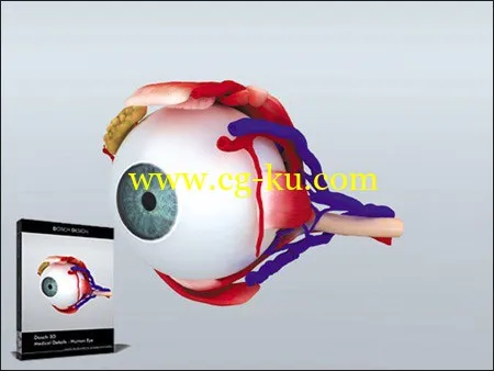 DOSCH DESIGN – 3D: Medical Details – Human Eye的图片1