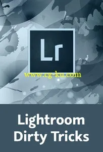 Lightroom Dirty Tricks Killertipps zu Organisation, Workflow und Entwicklung的图片2