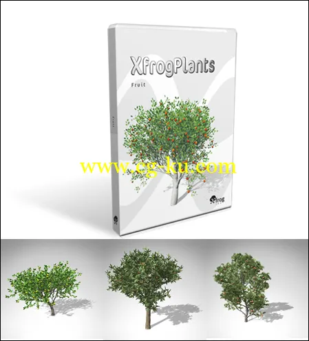 XfrogPlants – FRUIT TREES 果树3D模型的图片2