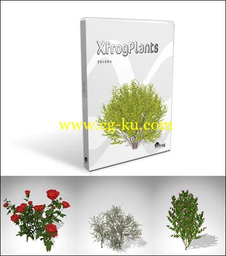 XfrogPlants – SHRUBS 灌木的图片1