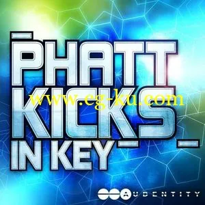 Audentity Phatt Kicks In Keys (WAV)的图片1