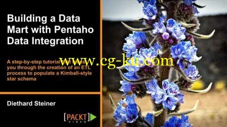 Packtpub – Building A Data Mart With Pentaho Data Integration的图片1