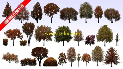 Evermotion Textures4ever vol.9 – Fall and Winter Trees 秋/冬季3D树木的图片2