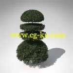 XfrogPlants – LANDSCAPING 园林/园艺模型包的图片4