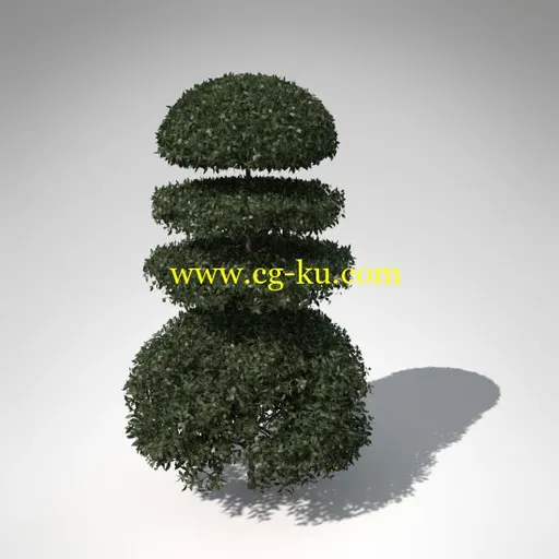 XfrogPlants – LANDSCAPING 园林/园艺模型包的图片5