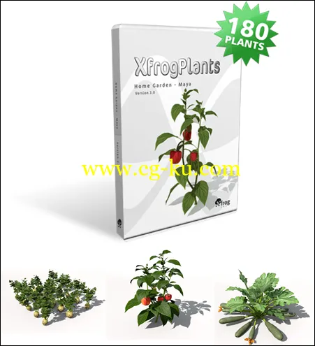 XfrogPlants – HOME GARDEN 蔬菜植物模型合集的图片2