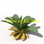 XfrogPlants – HOME GARDEN 蔬菜植物模型合集的图片3