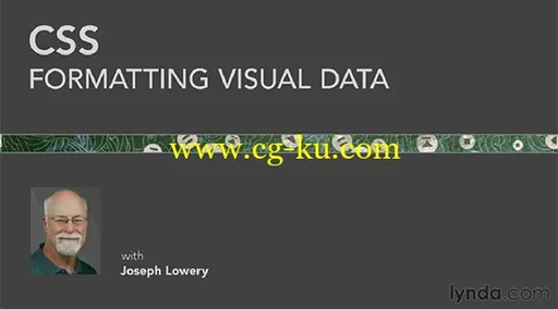 CSS Formatting Visual Data (2013)的图片1