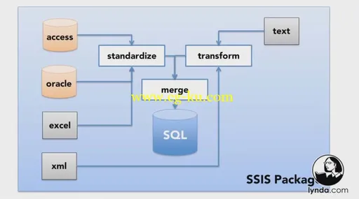 SQL Server 2008 Essential Training的图片3