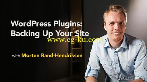 Lynda – WordPress Plugins: Backing Up Your Site的图片1