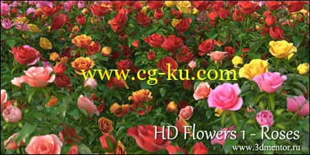 3DMentor – HD Flowers vol. 1: Roses 花卉模型集合的图片1