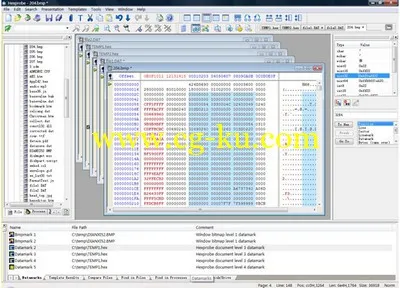 Hexprobe Hex Editor 5.0的图片1