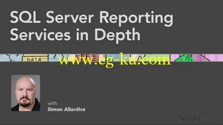 SQL Server Reporting Services in Depth的图片1