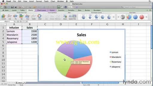 Excel for Mac 2011 Essential Training的图片2