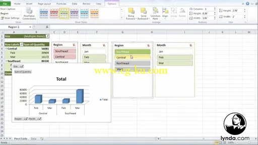 Excel 2010 Essential Training的图片3