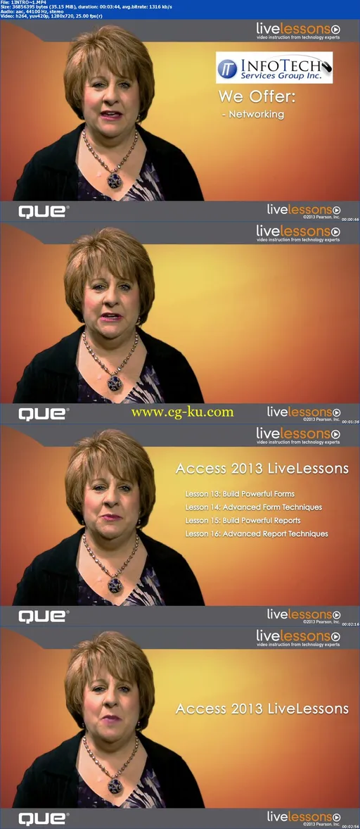 LiveLessons – Access 2013 (Video Training)的图片1