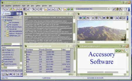 Accessory Software File Viewer 9.5的图片1