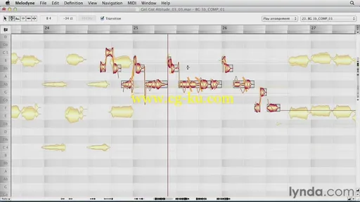 Melodyne Advanced Techniques的图片2