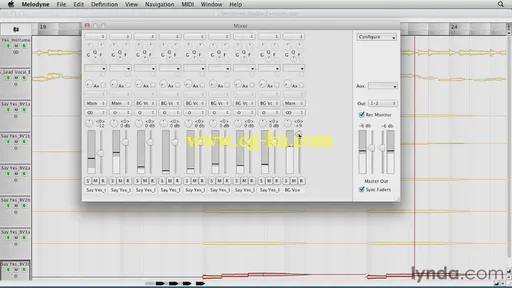 Melodyne Essential Training的图片2