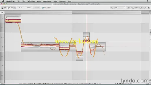 Melodyne Essential Training的图片3