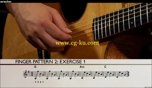 Steve Krenz – Learn and Master Fingerstyle Guitar的图片1