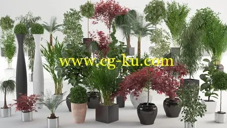 VIZPARK Interior Plants for 3ds Max 室内植物模型的图片1