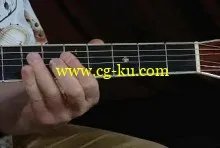 Folk Blues for Fingerstyle Guitar (2 DVD Set)的图片2