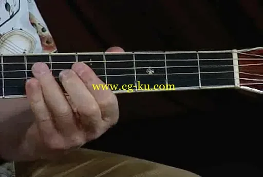 Folk Blues for Fingerstyle Guitar (2 DVD Set)的图片3