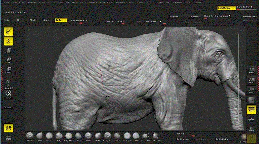 Sculpting a Realistic Elephant in ZBrush的图片2