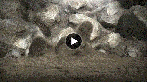 Simulating Sandman Effects in Maya的图片1