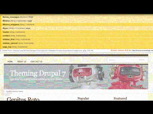 Advanced Theming For Drupal 7的图片3